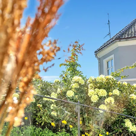 Appartement Bryggen Nest